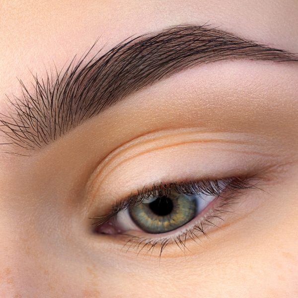 Beautiful Brows at The Nest
